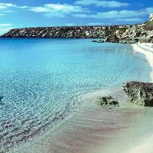 Exotic Marsala